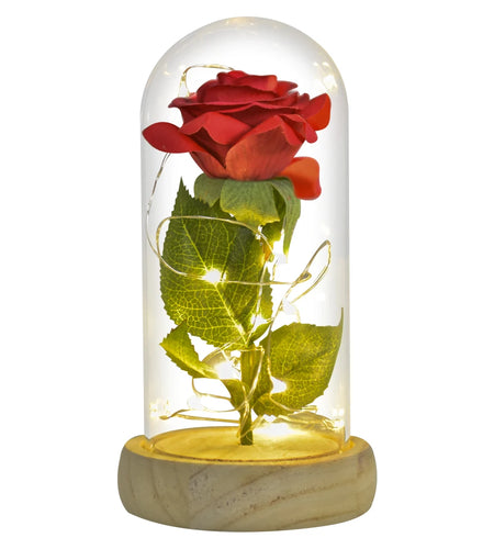 Gifts for Her Beauty and the Beast Eternal Rose in Glass Dome Artificial Forever Flower LED Light Mothers Day Gifts for Women